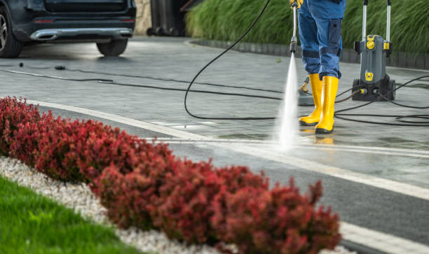 Best Driveway Pressure Washing  in Jacksonville, NC